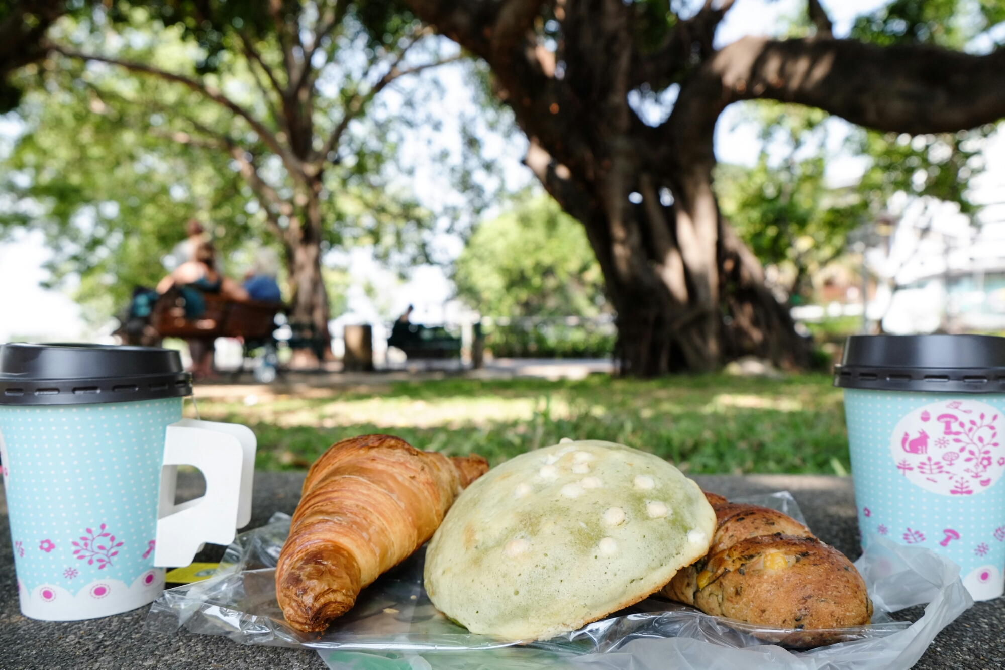 wp-1422008320399 image