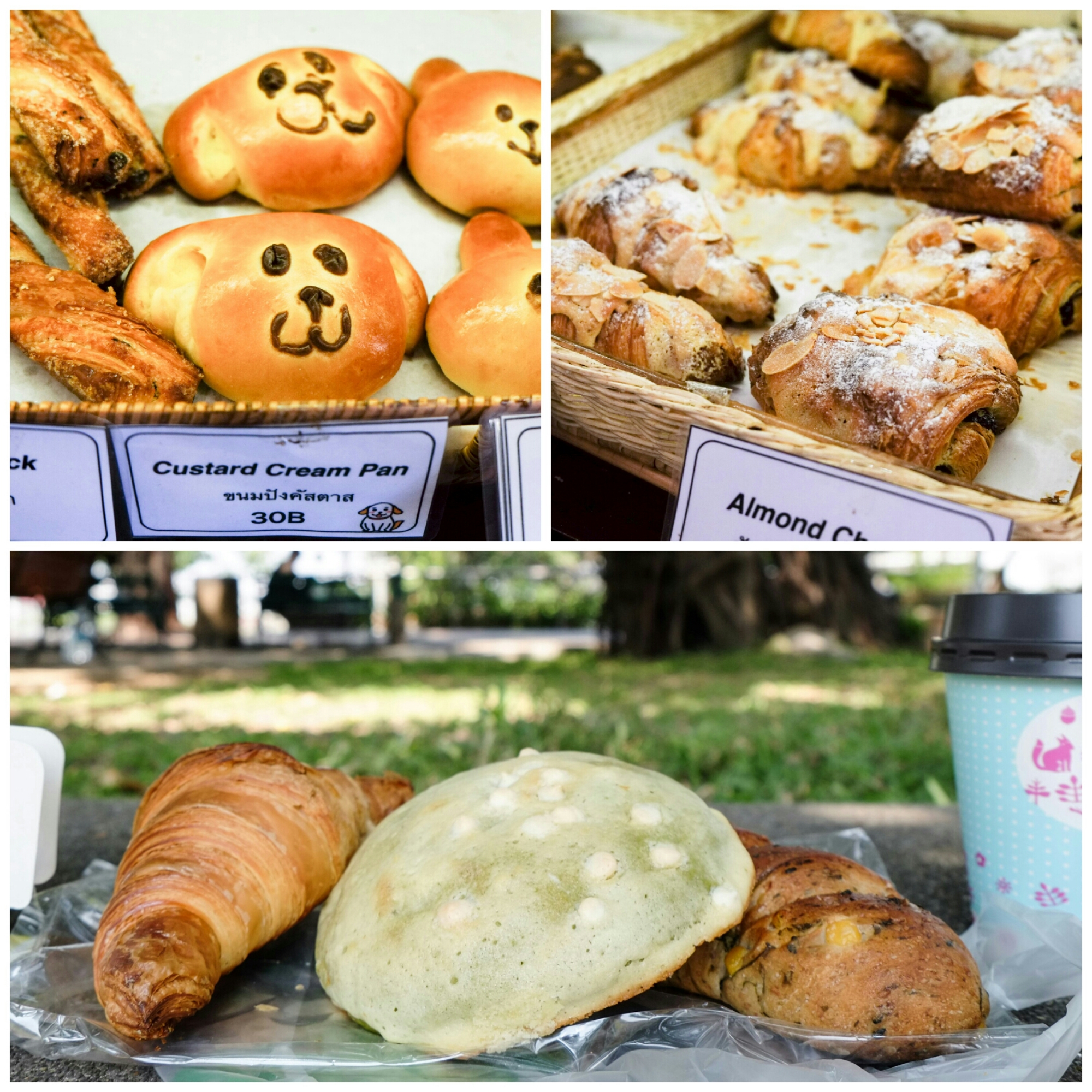 wp-1422026670751 image