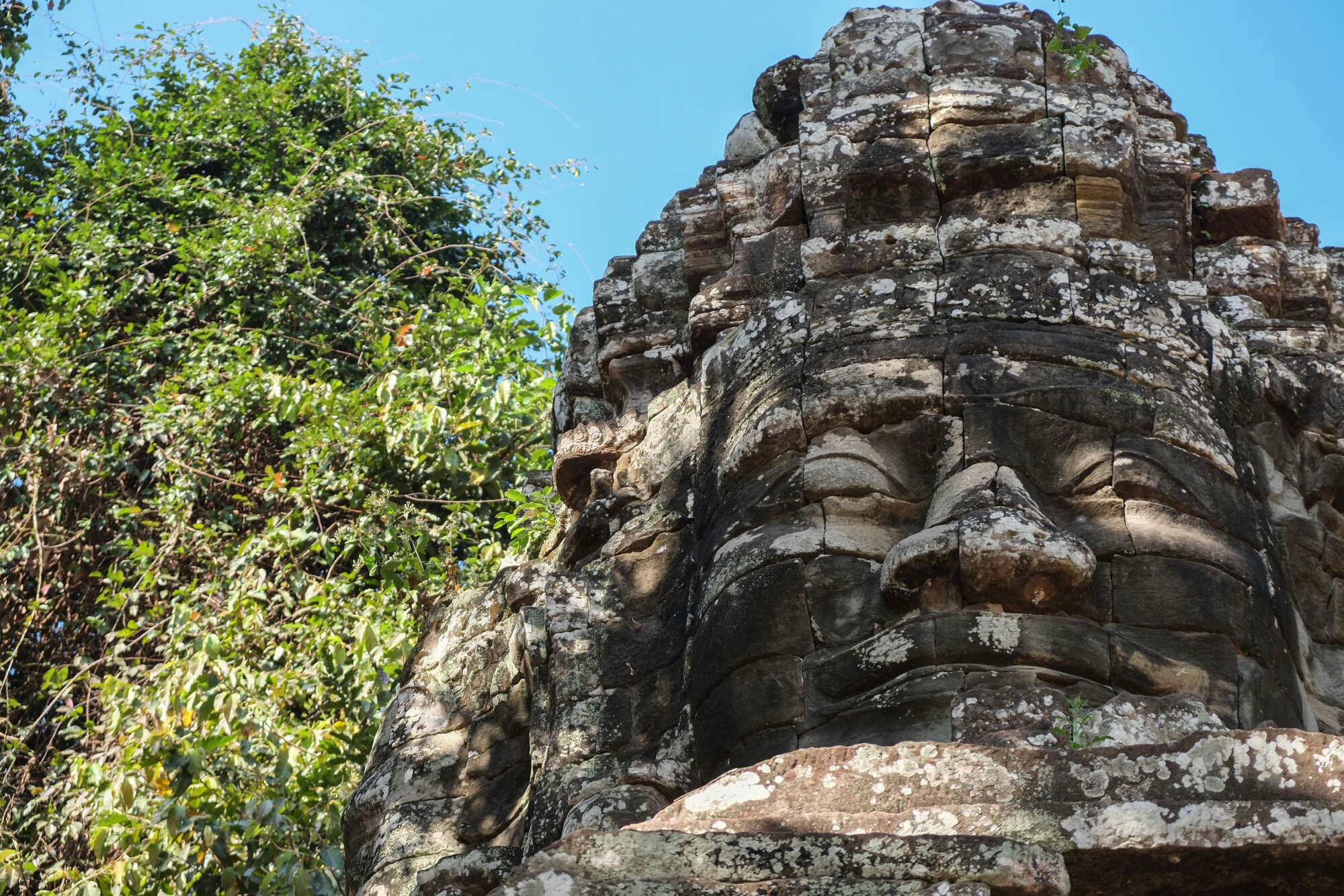 wp-1422241177258 image