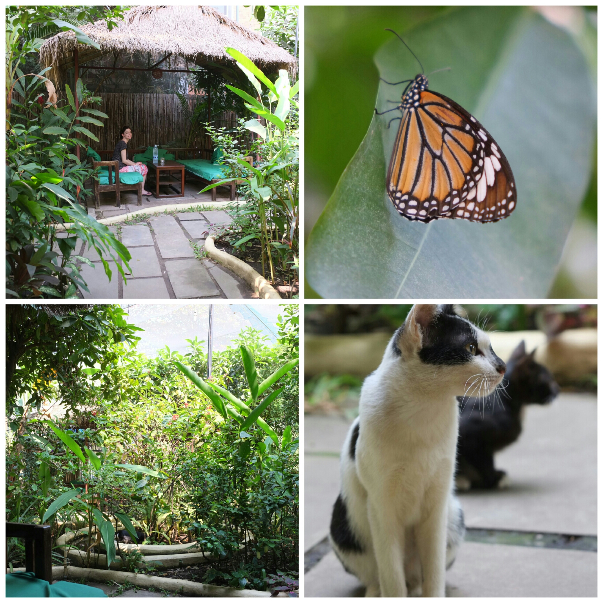 wp-1422261211579 image