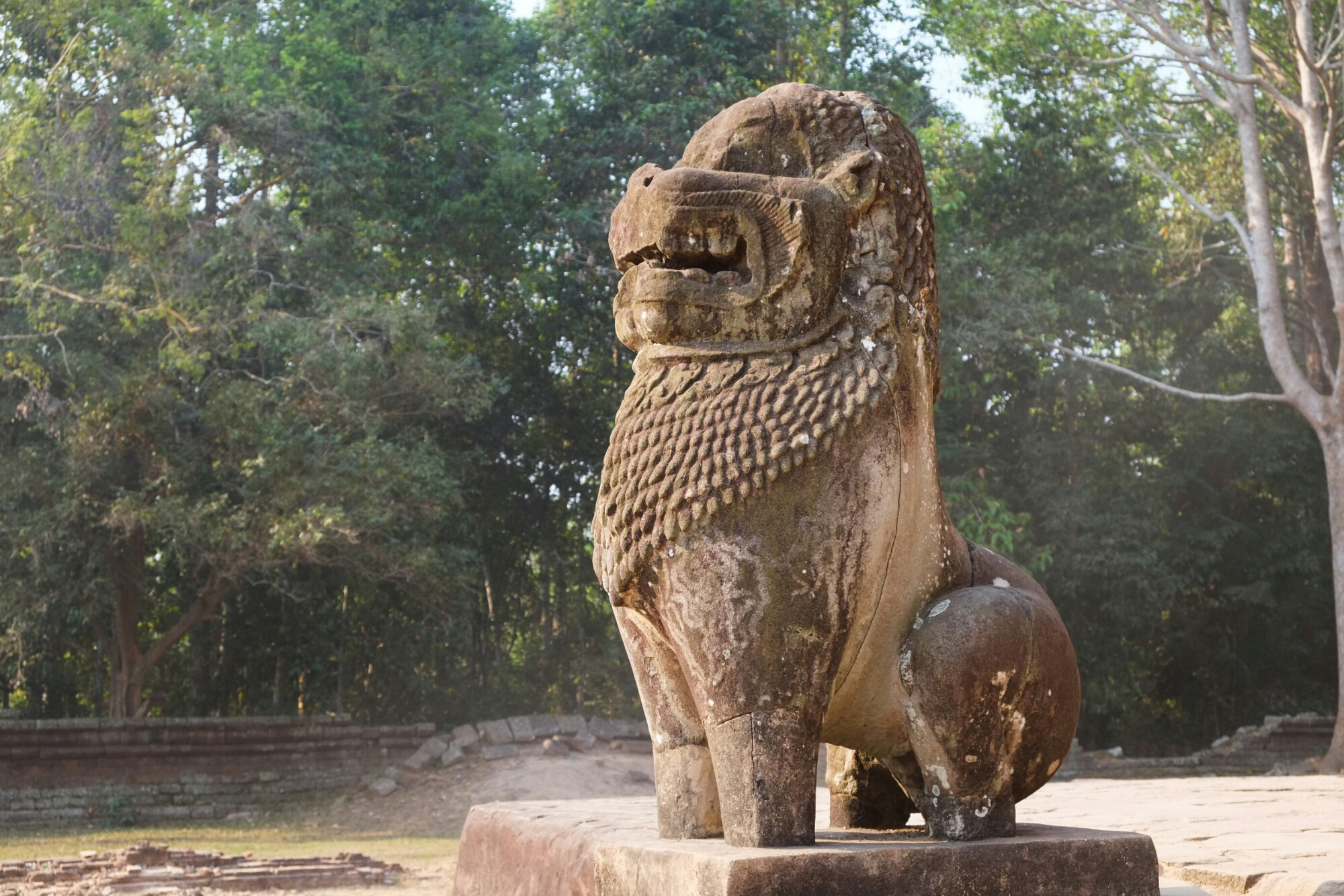 wp-1422495020820 image