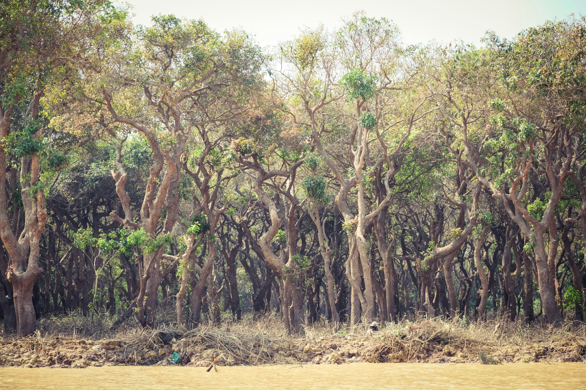 wp-1422495127049 image