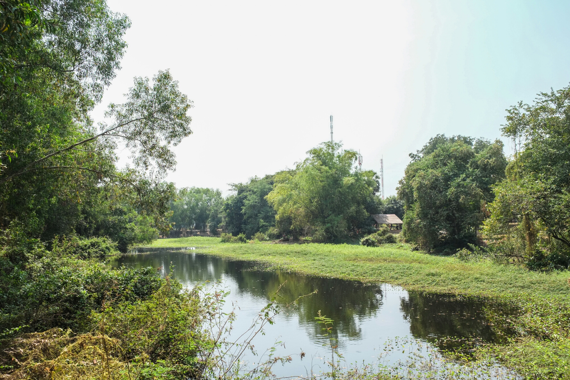 wp-1422812149344 image