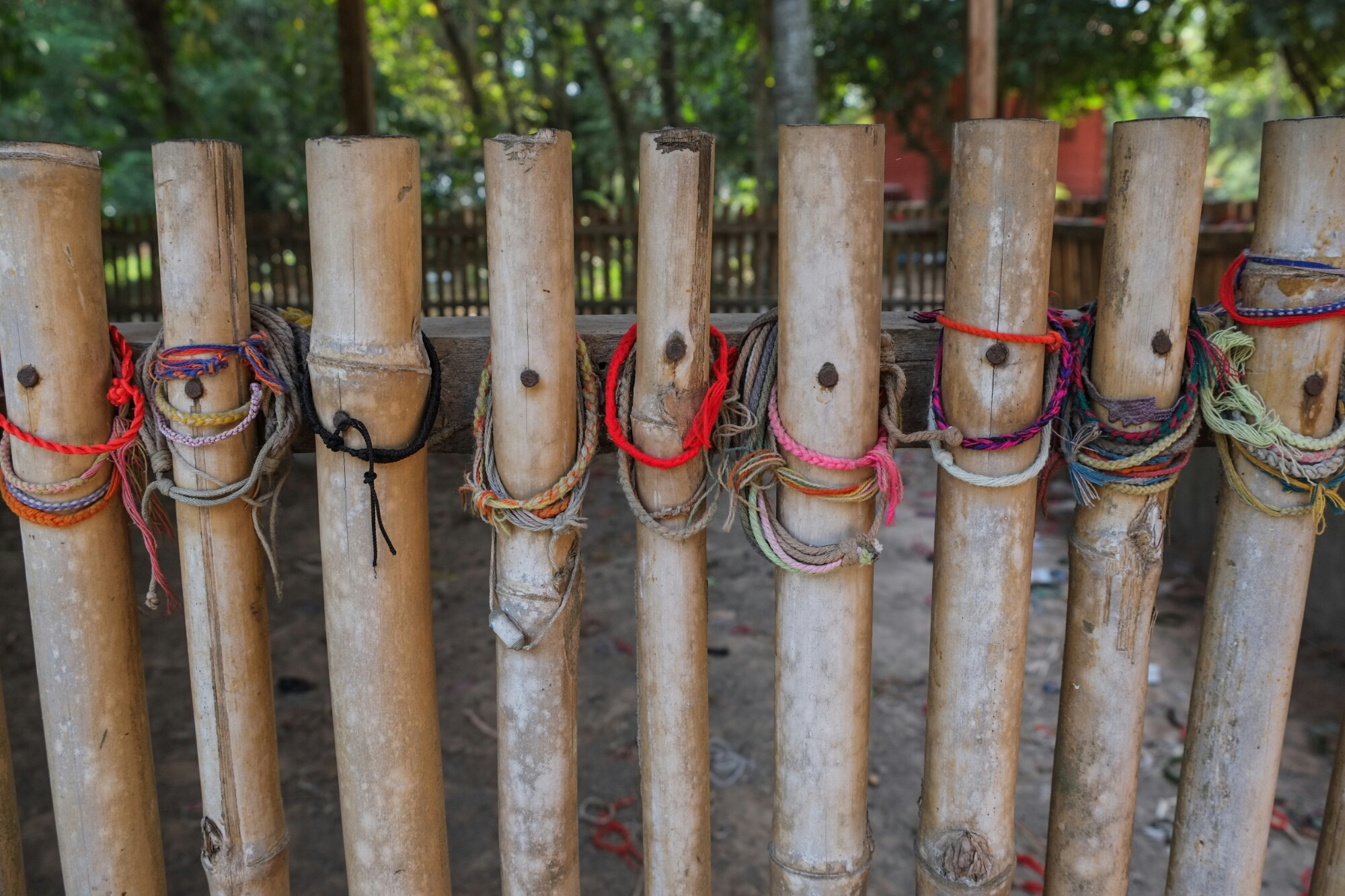 wp-1422812172809 image