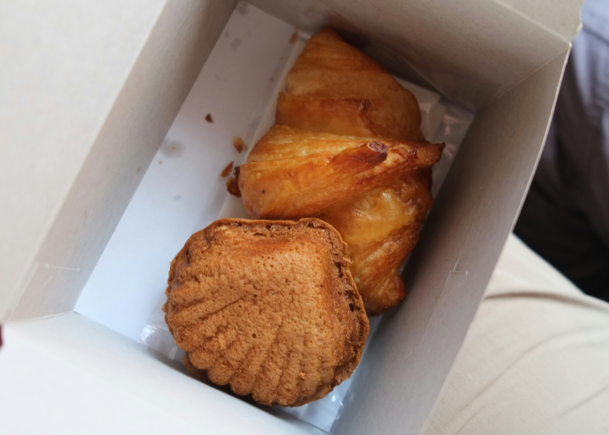 wp-1423128197224 image