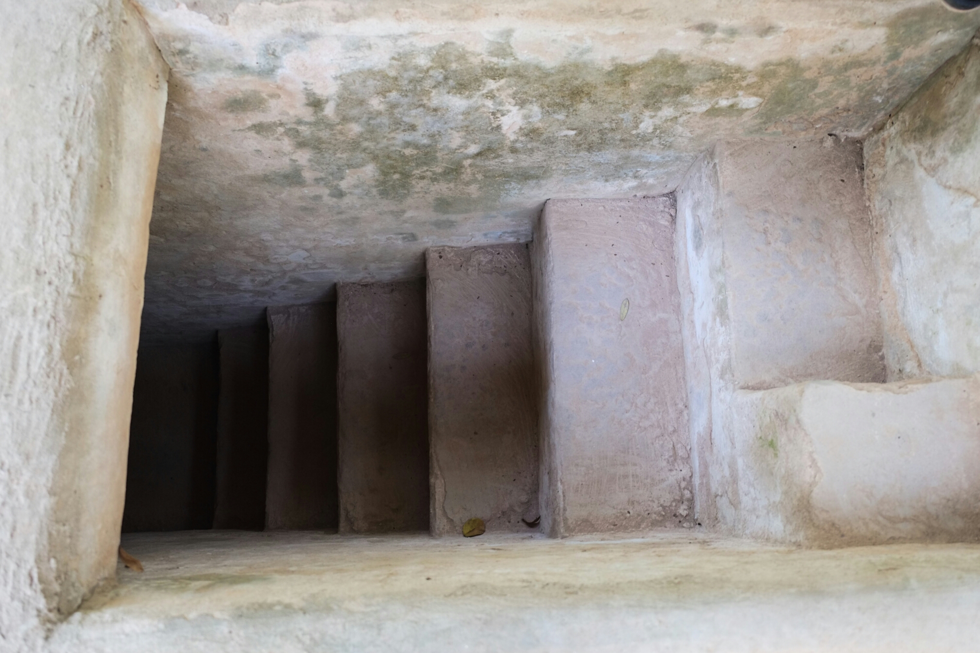 wp-1423542711357 image