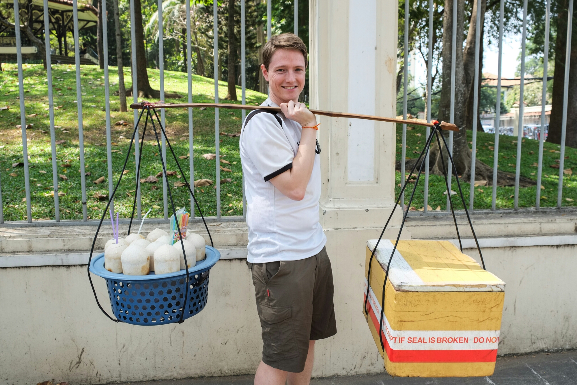 Coconut sellers image