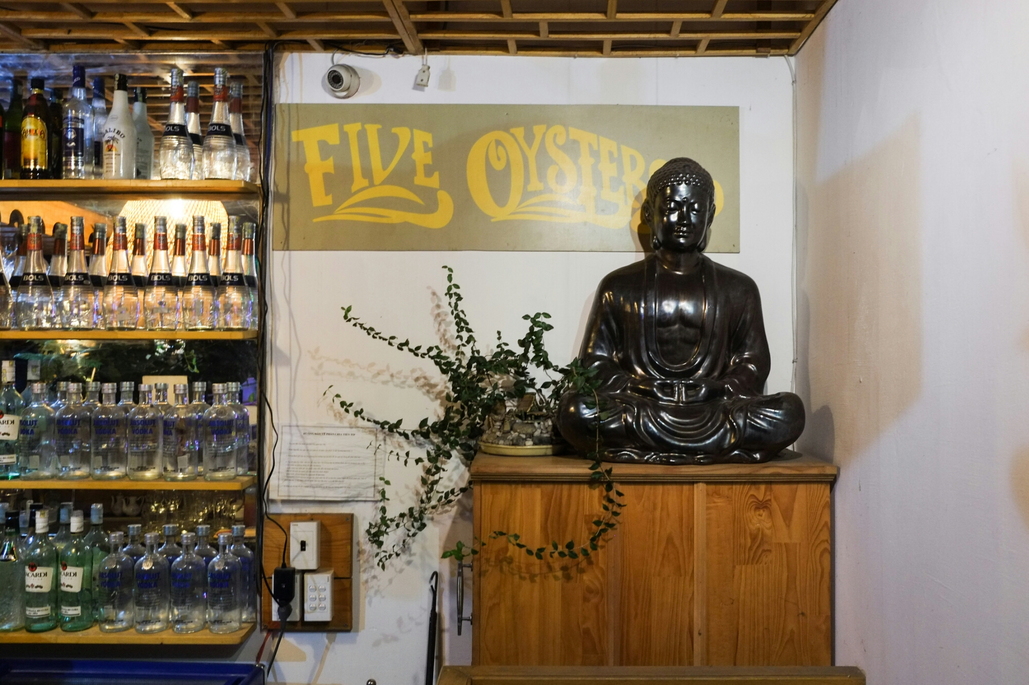 wp-1423702412545 image