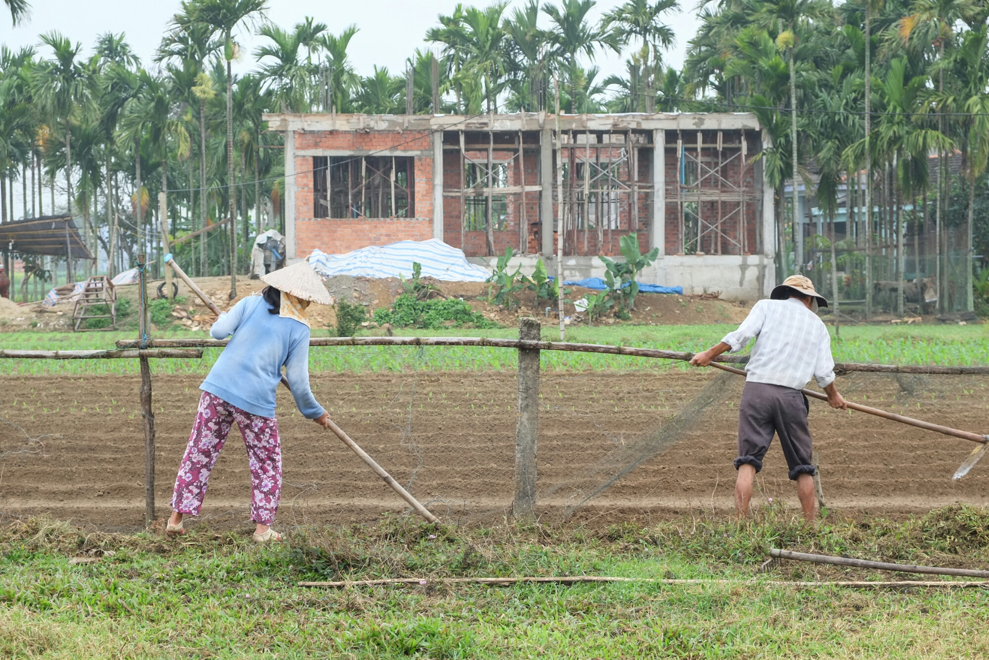 wp-1425368812989 image