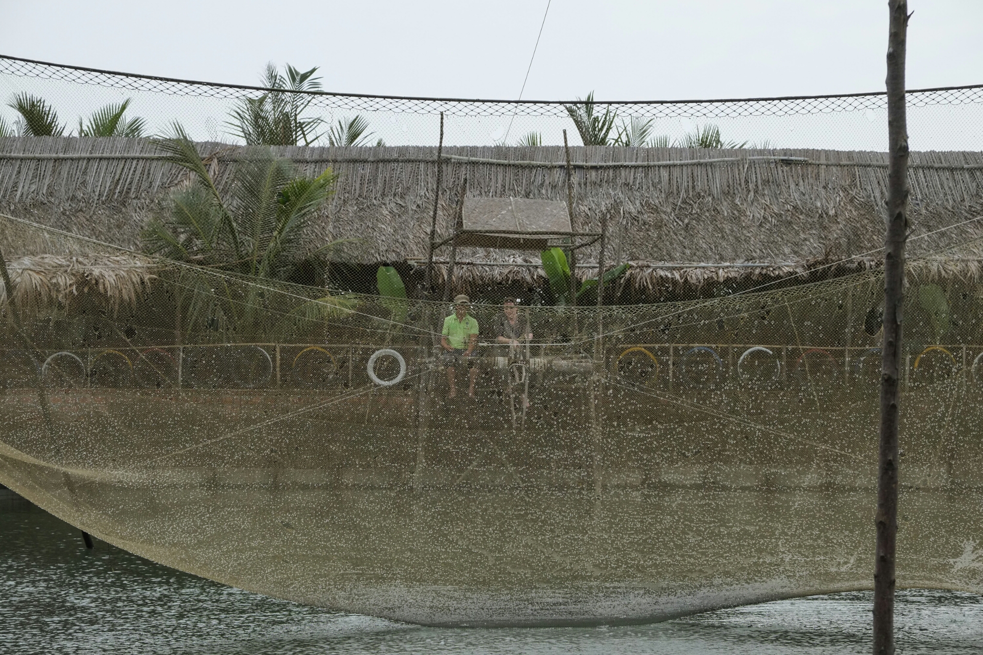 wp-1425399630788 image