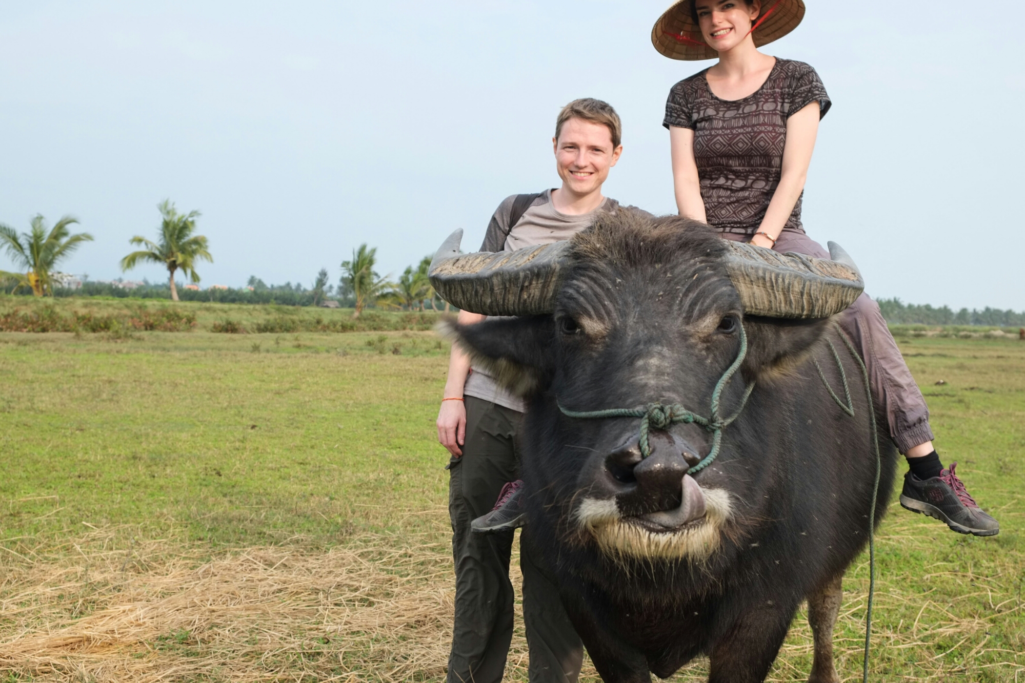 wp-1426266704962 image