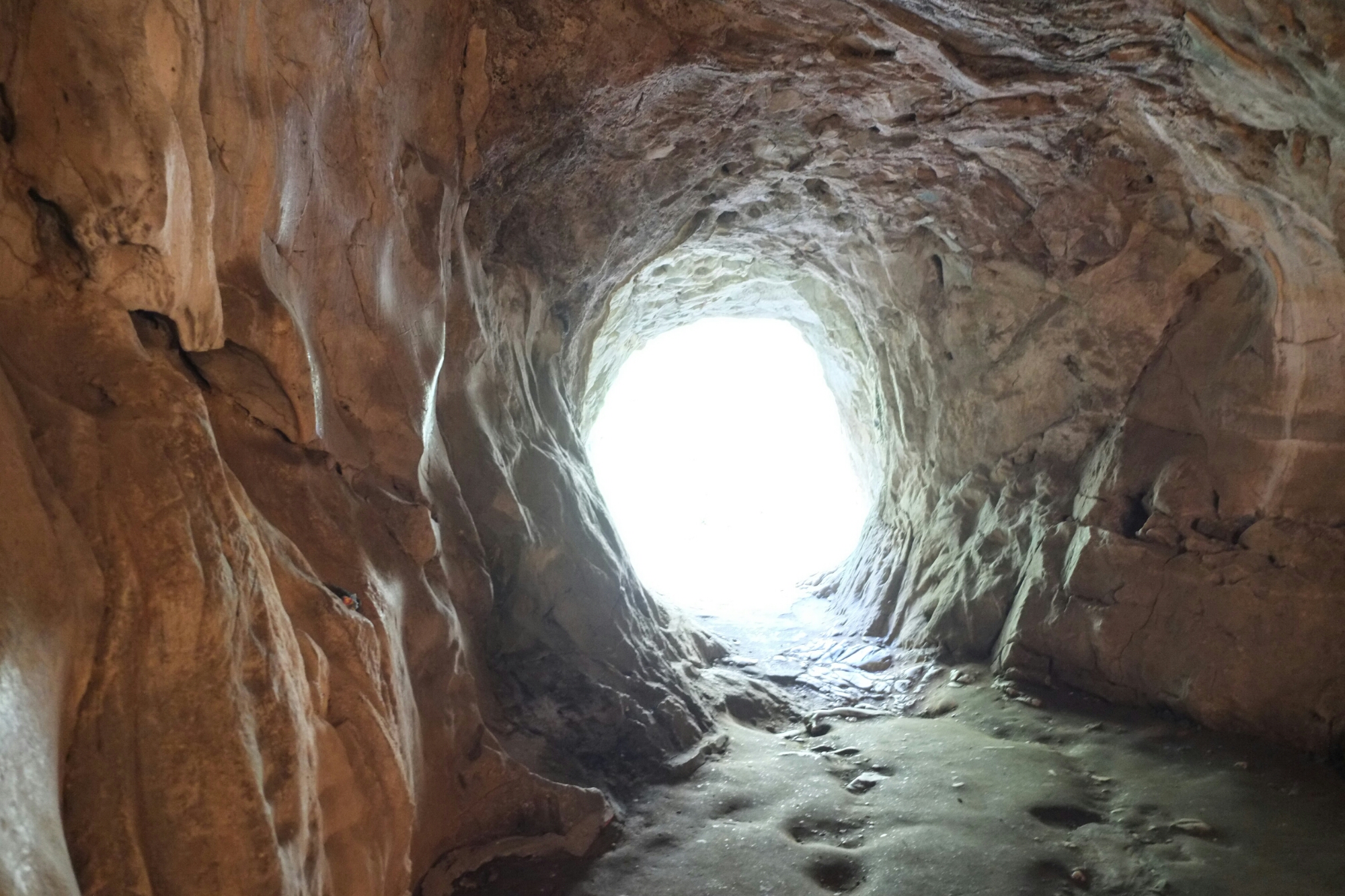 wp-1426692304002 image