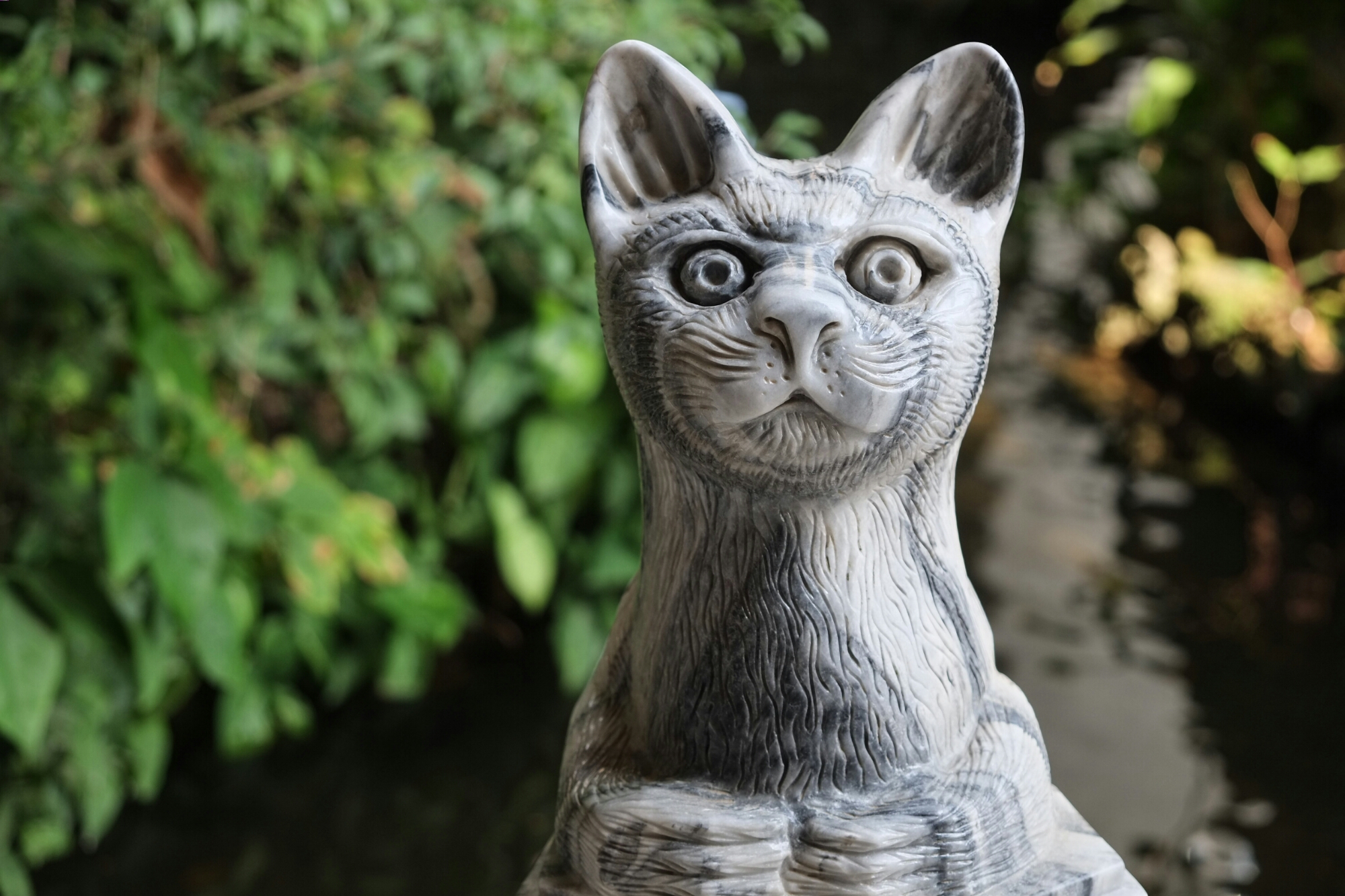 wp-1426948380877 image