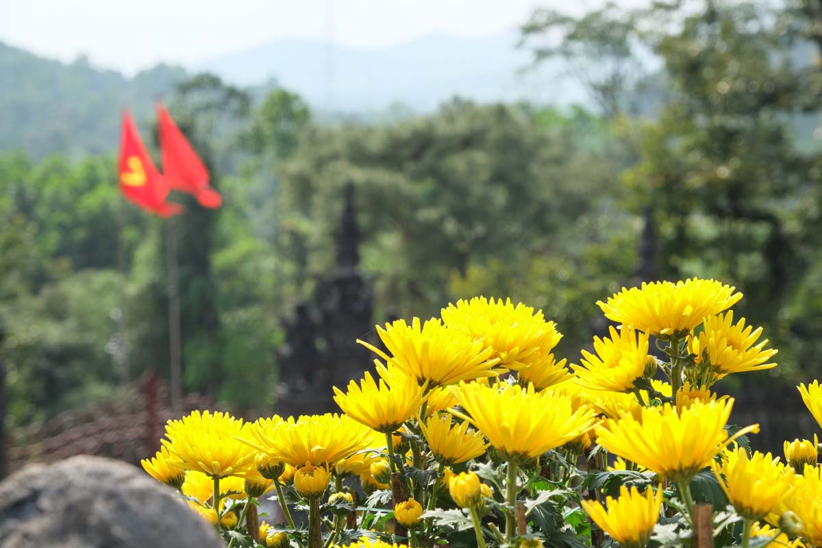 wp-1427026808835 image