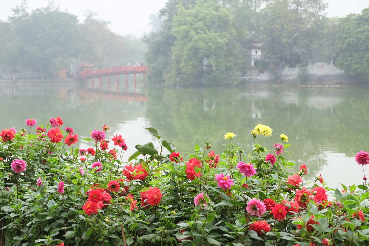 wp-1427042078730 image