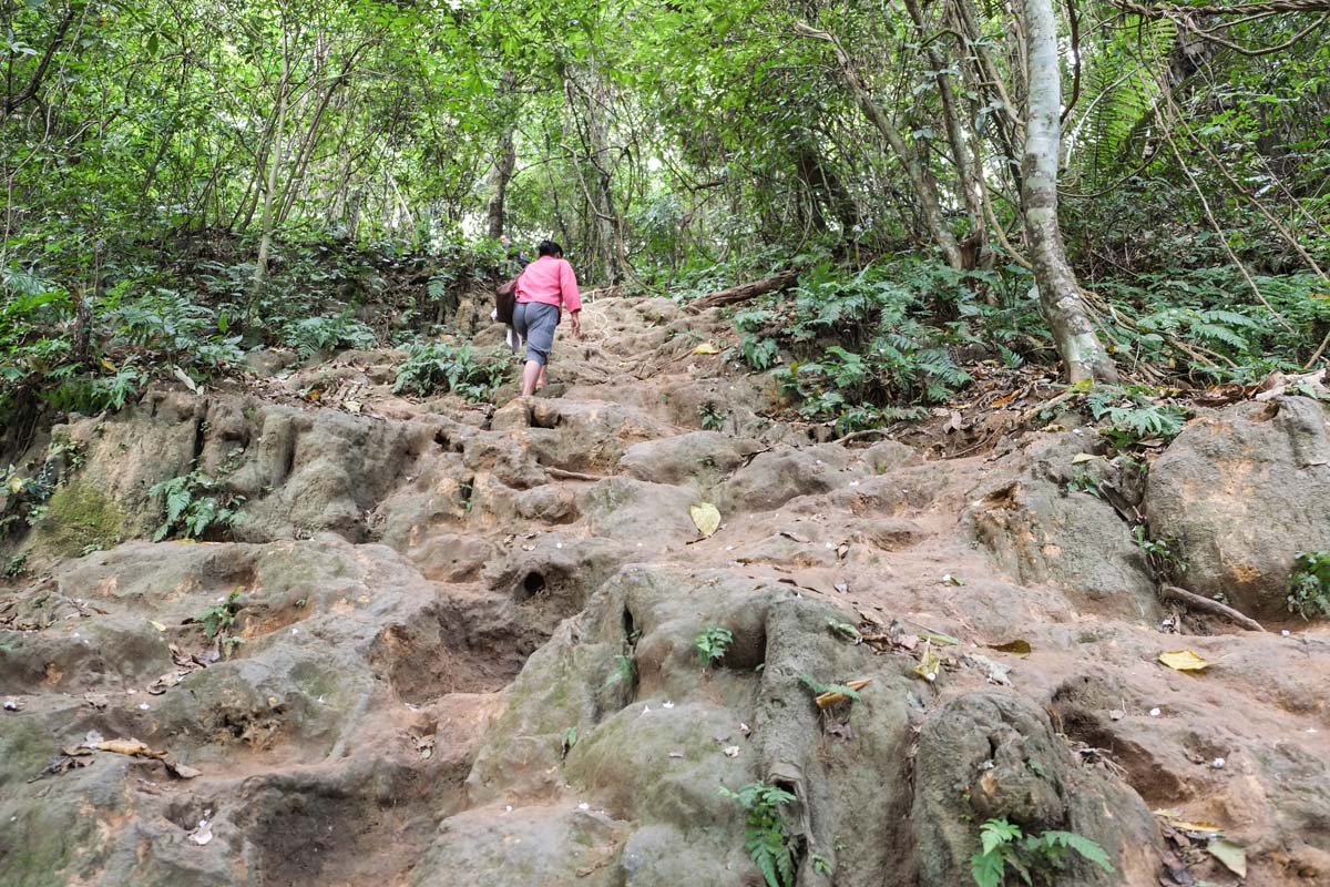 Kouang Si climb .jpg image