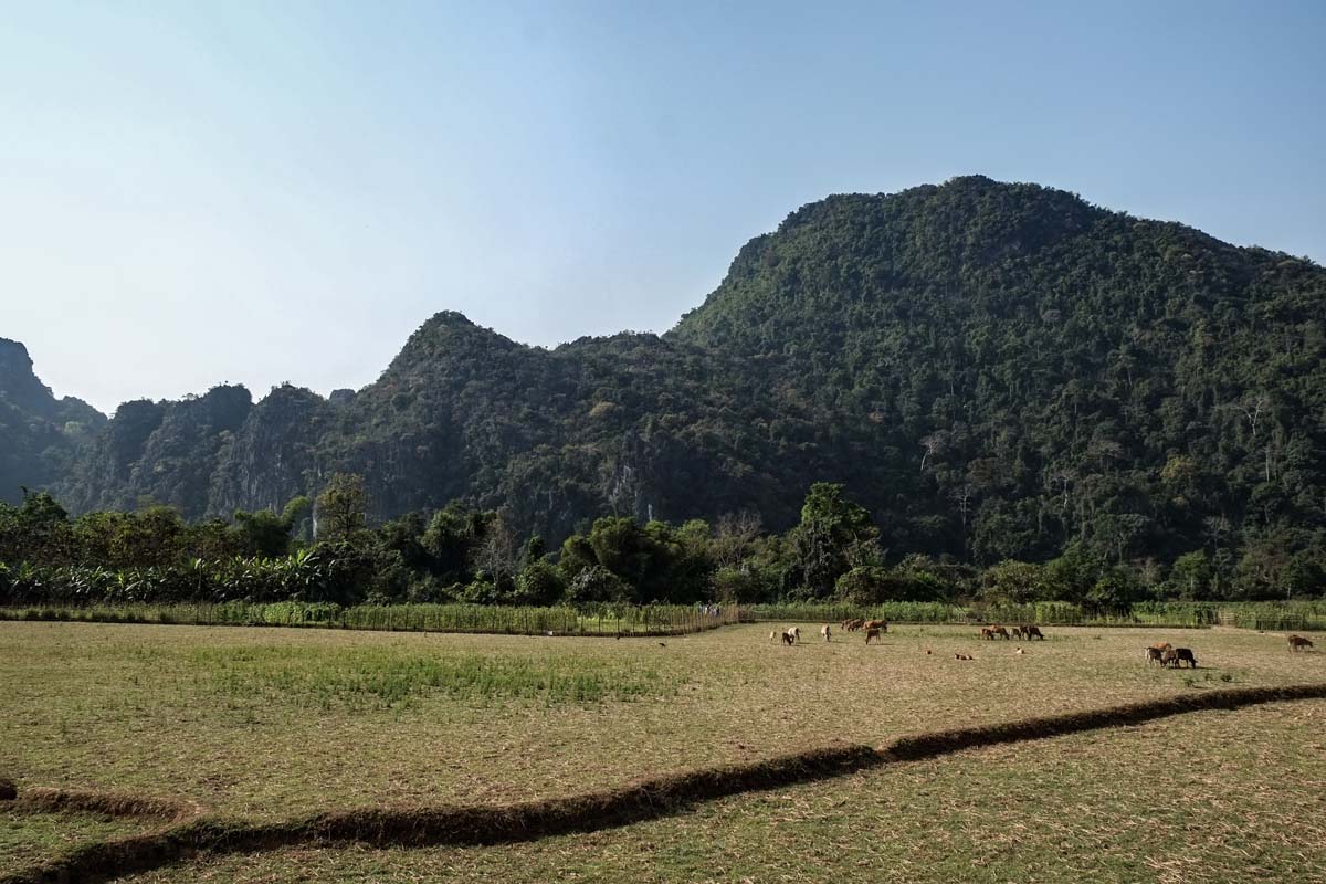 Vang Vieng Karst image