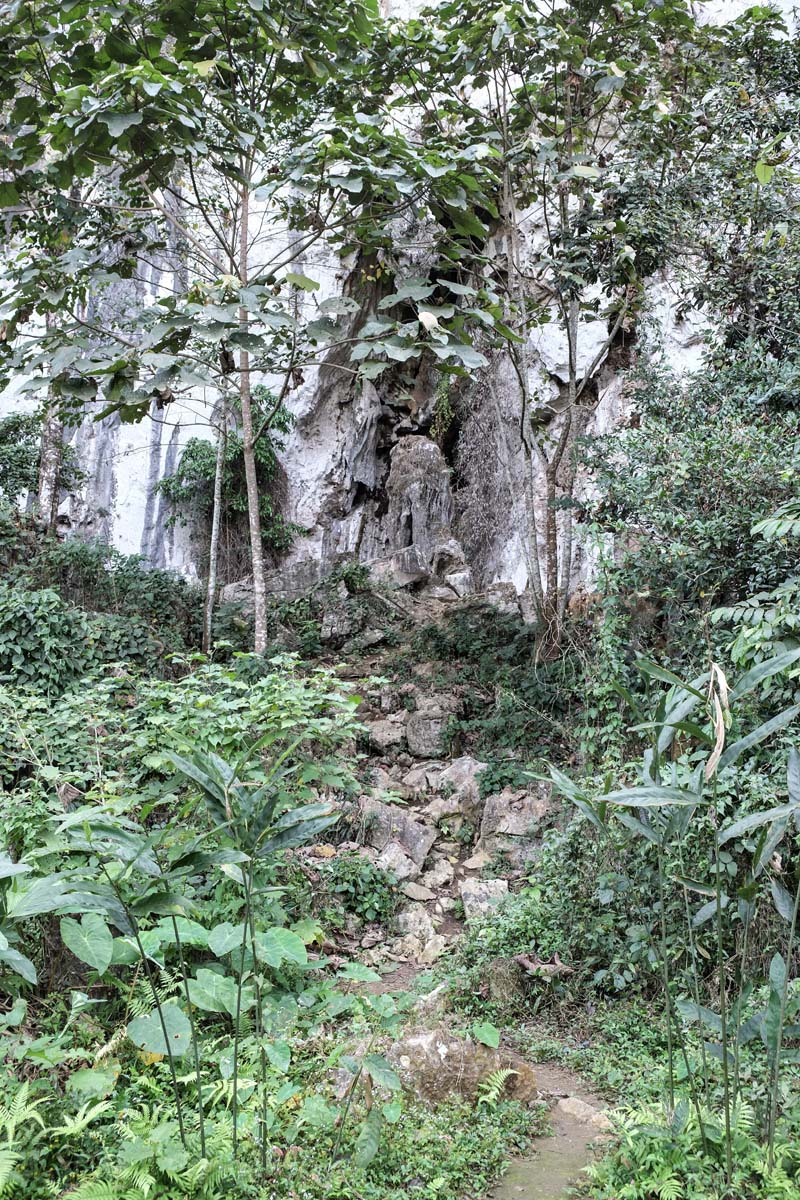 Bee Cave Vang Vieng image