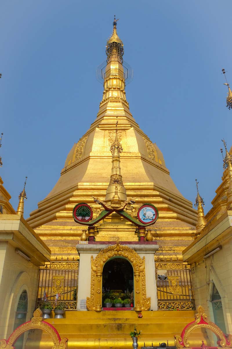 wp-1428416370216 image