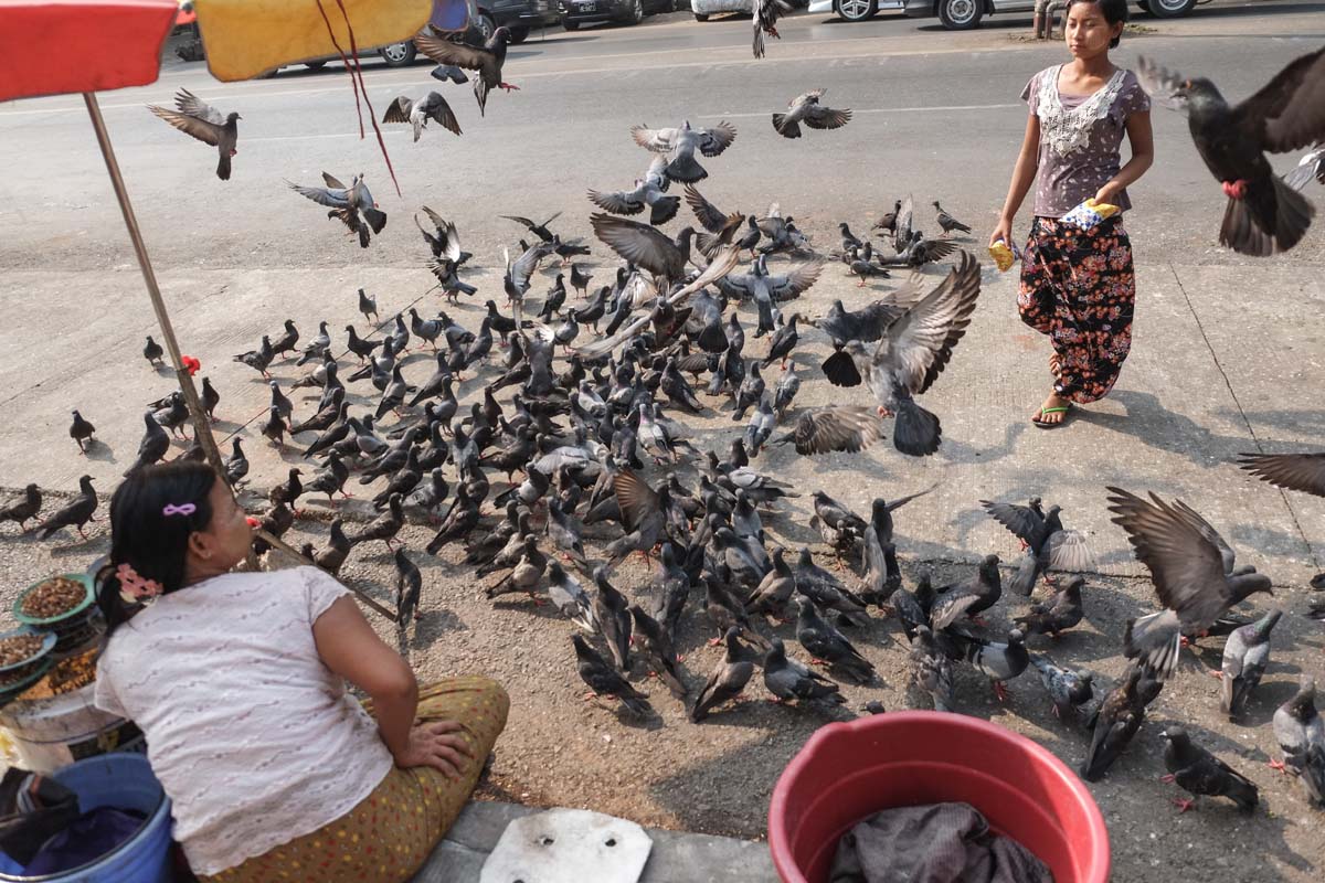 wp-1428448606542 image