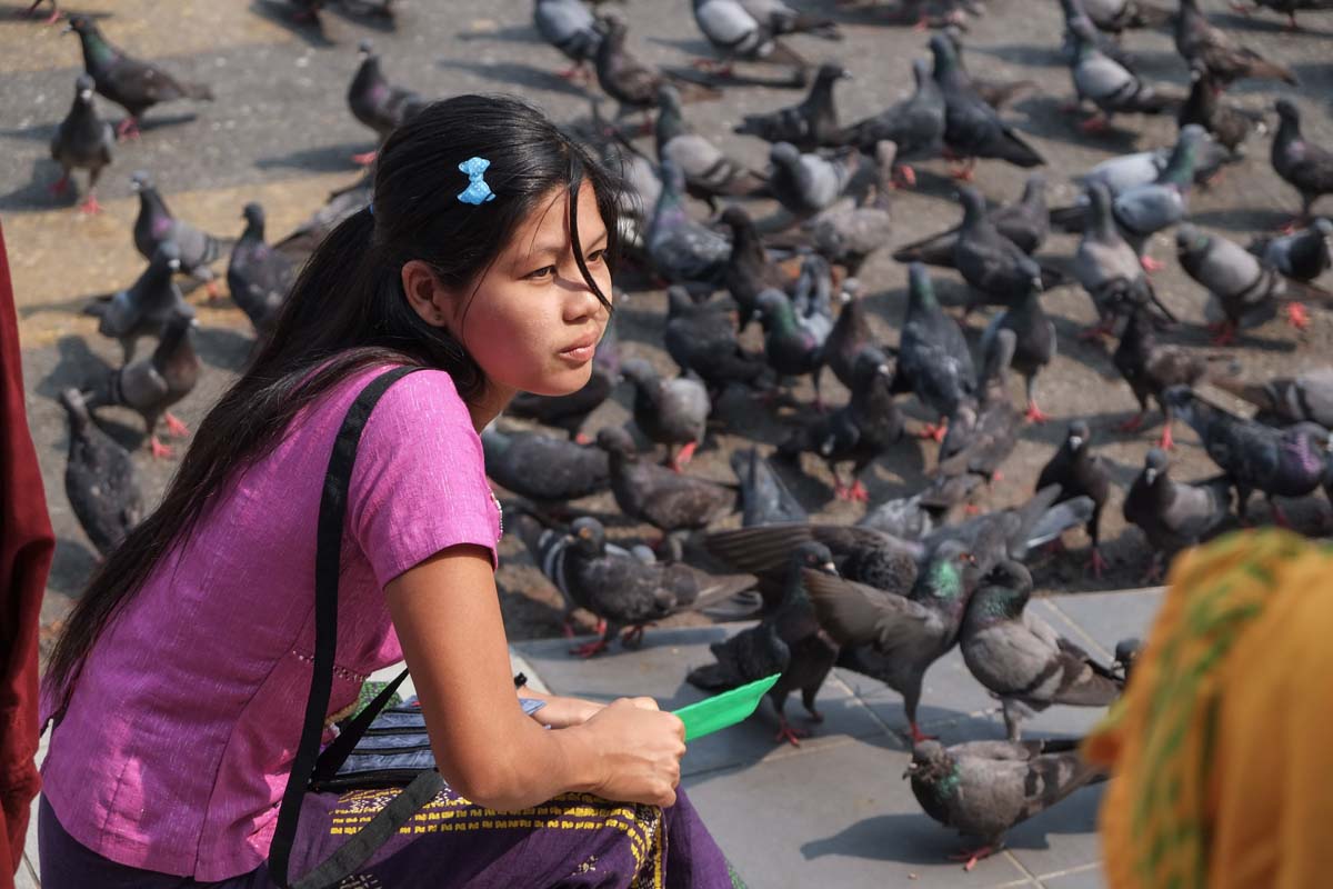 wp-1428448808529 image