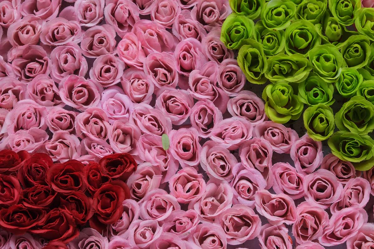 Hanoi Tet Flowers image