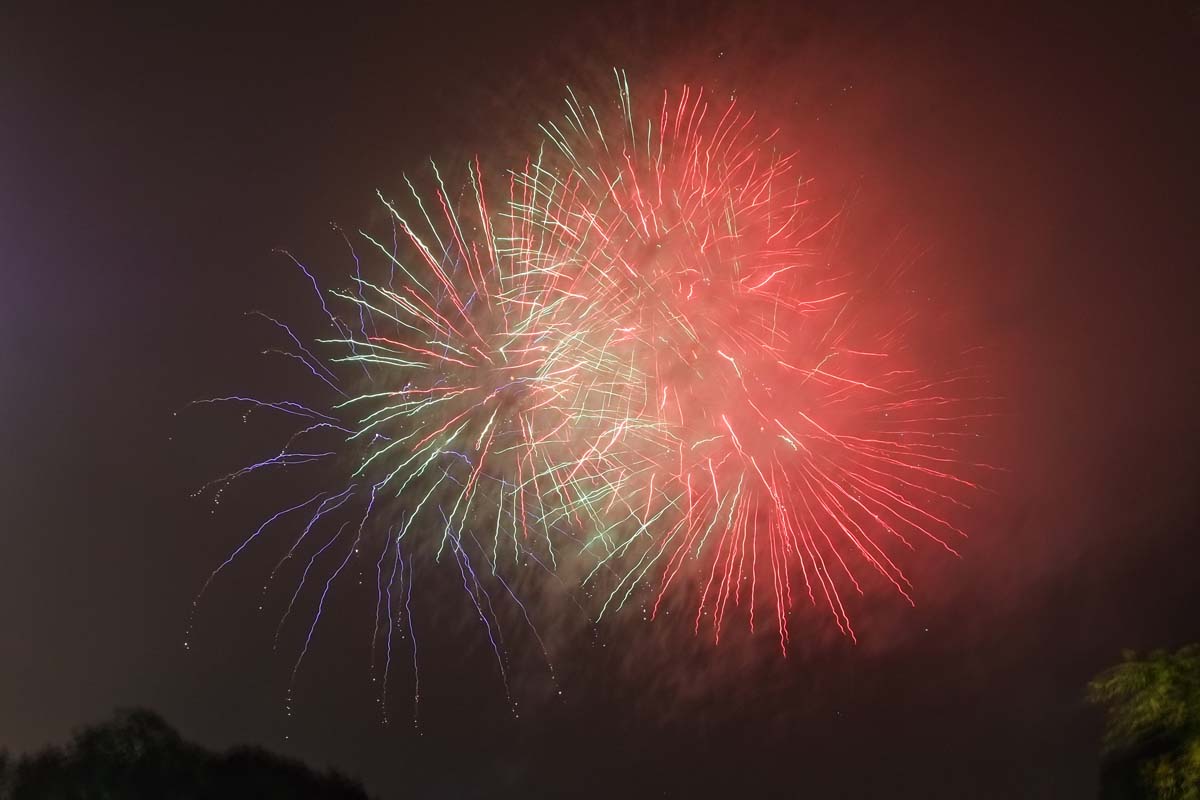 Hanoi Tet Market image