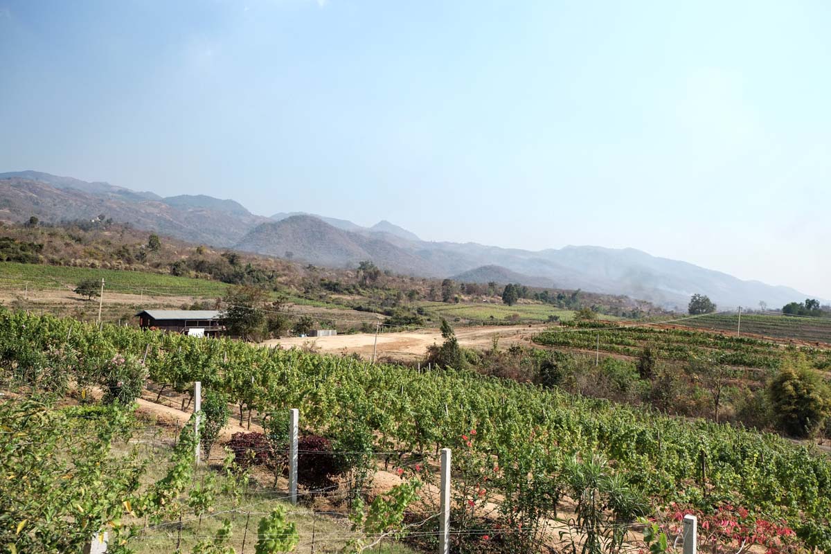 IMG_20150525_224604150.jpg image