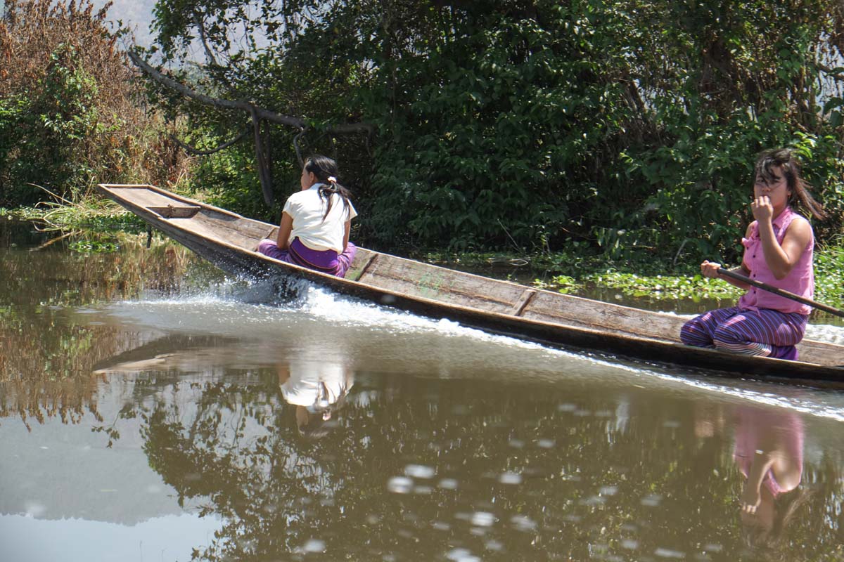 IMG_20150525_224609561.jpg image