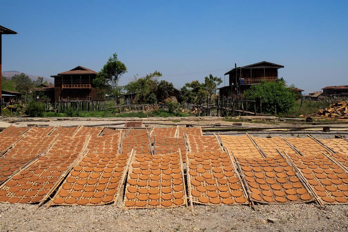 IMG_20150525_224621831.jpg image