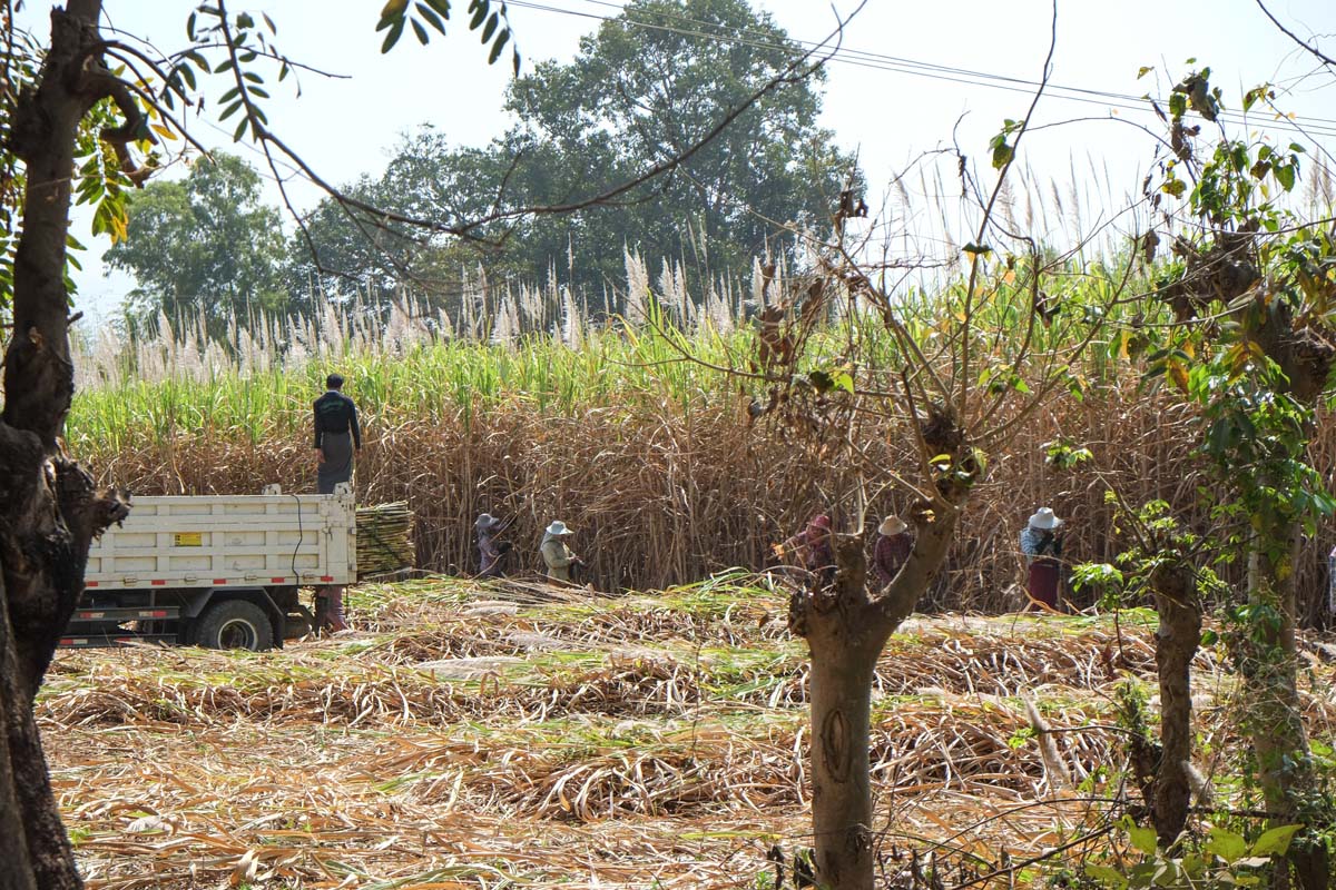 IMG_20150525_224623793.jpg image