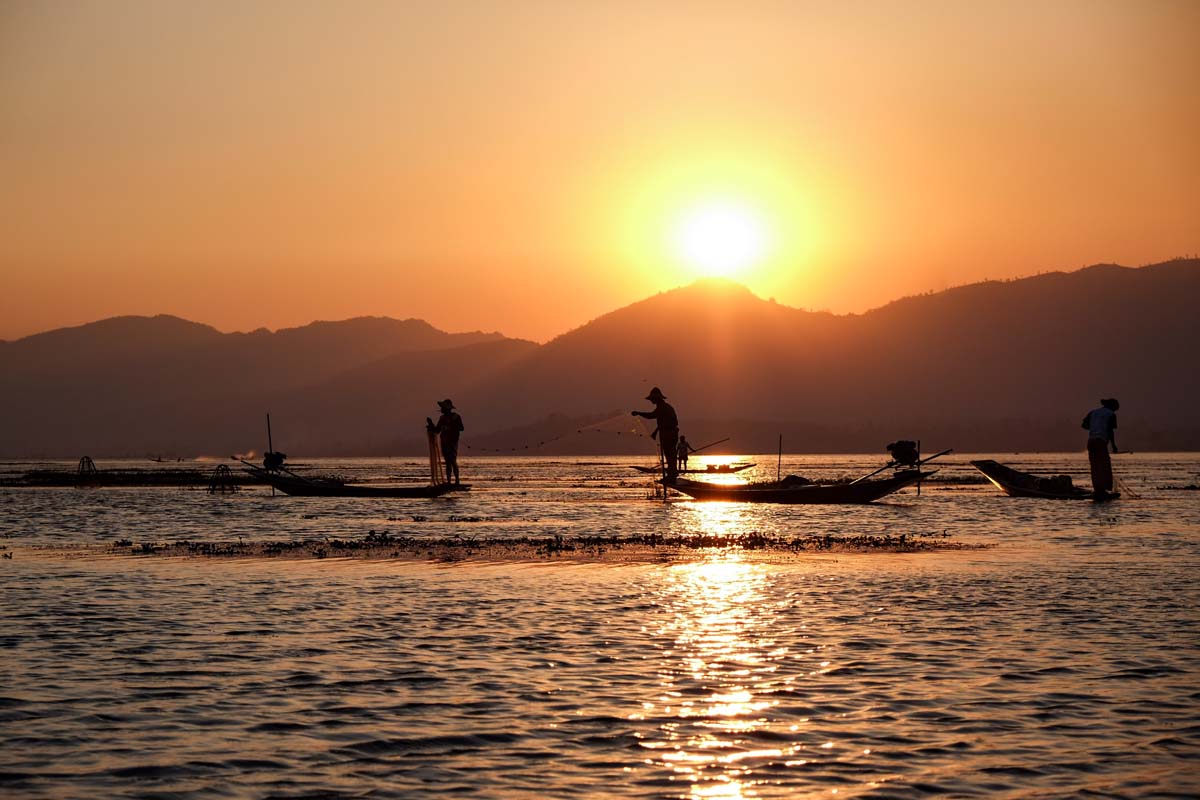 IMG_20150525_230723760.jpg image