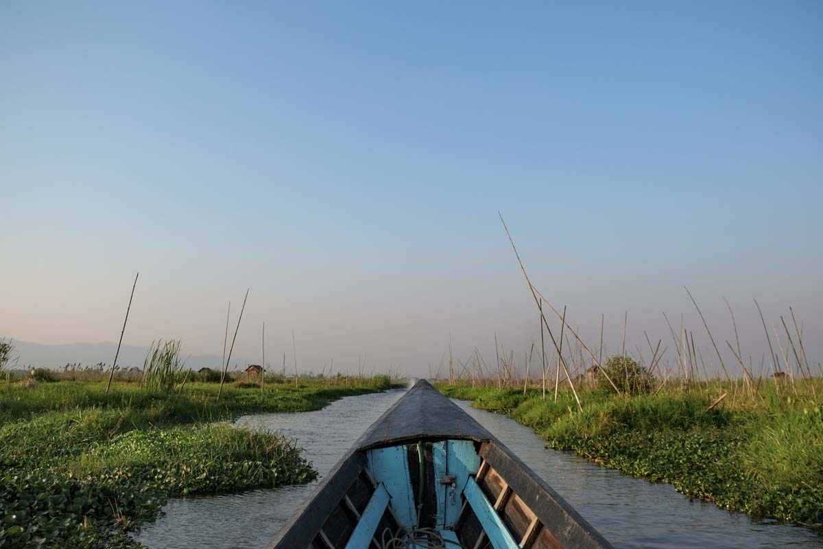 IMG_20150525_230726184.jpg image