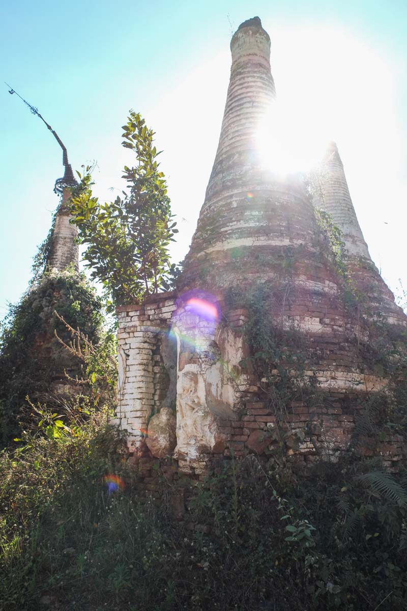 IMG_20150525_230738828.jpg image