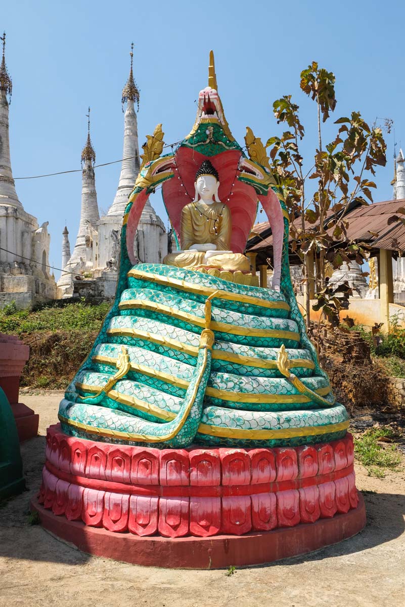 IMG_20150525_230745706.jpg image