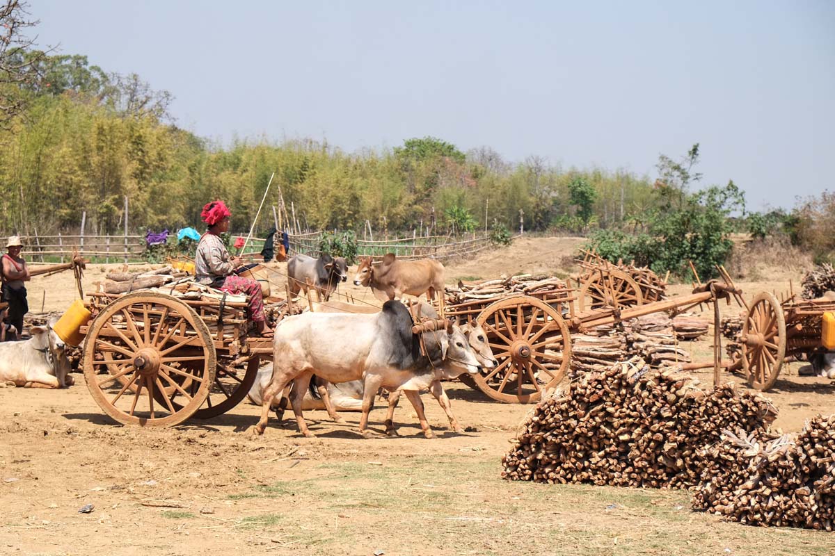 IMG_20150525_230748155.jpg image