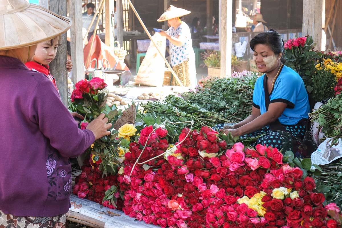 IMG_20150525_230750450.jpg image