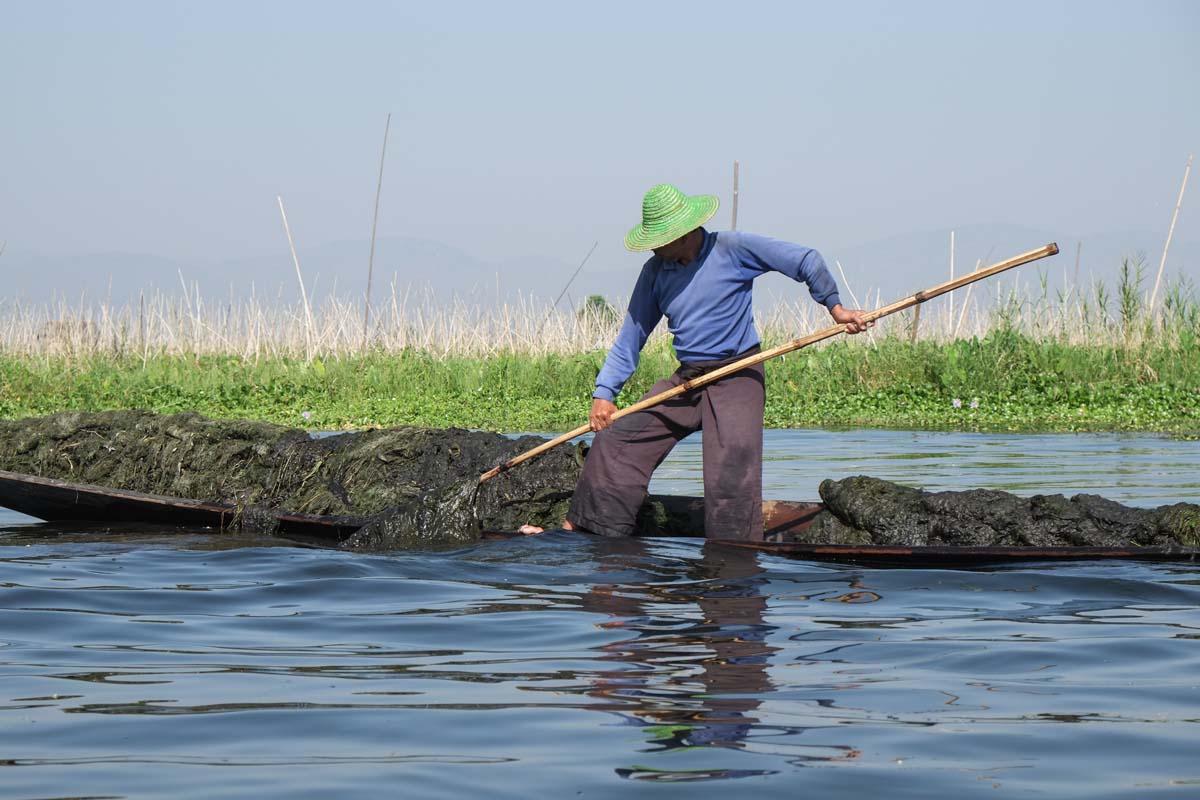 IMG_20150525_230800368.jpg image