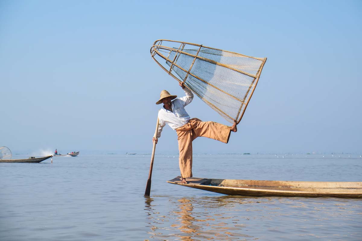 IMG_20150525_230816065.jpg image