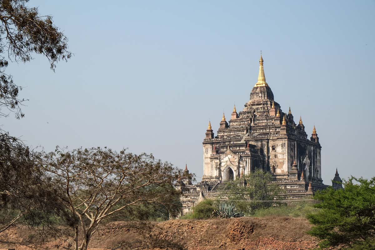 IMG_20150525_230613734.jpg image