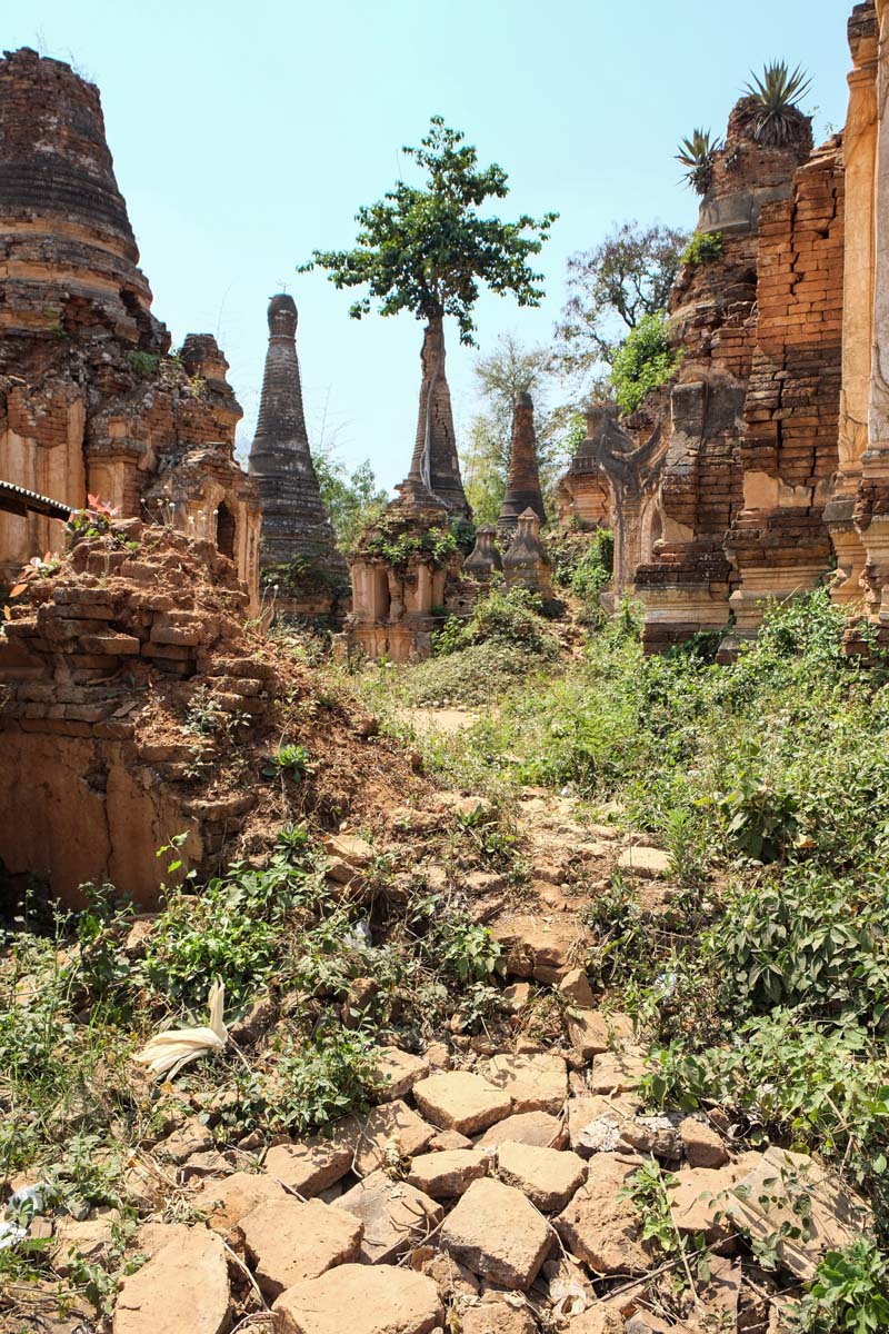 IMG_20150525_230648204.jpg image