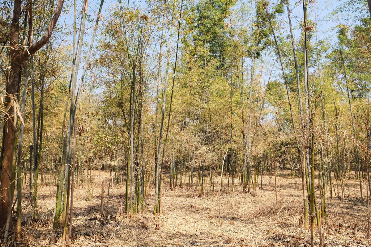 IMG_20150525_230651433.jpg image