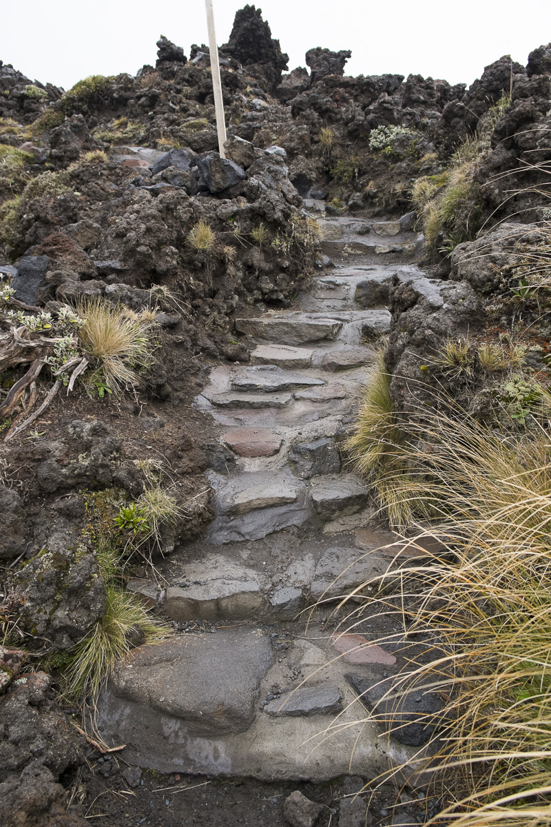 Tongariro Crossing Path